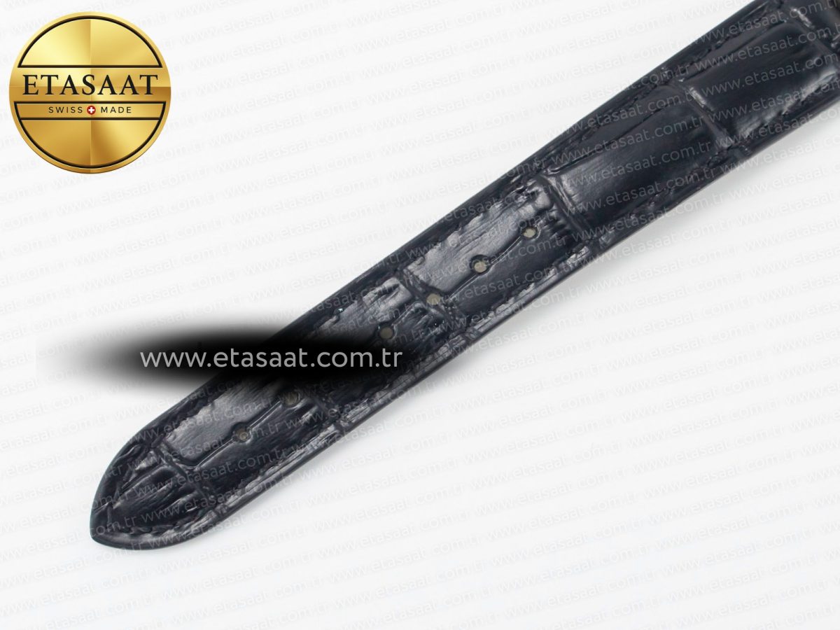 Cartier Santos Dumont 27.5mm IWSF Best Edition Silver Dial on Black Leather Strap Quartz - Görsel 18